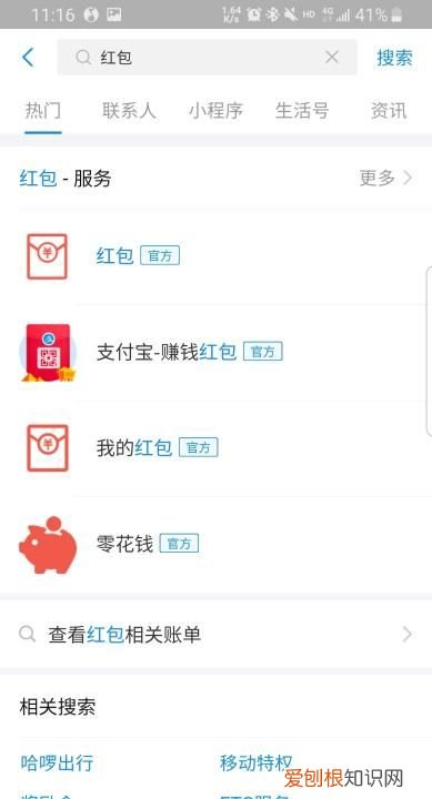 支付宝搜索码在哪里,怎么查看自己支付宝登录密码