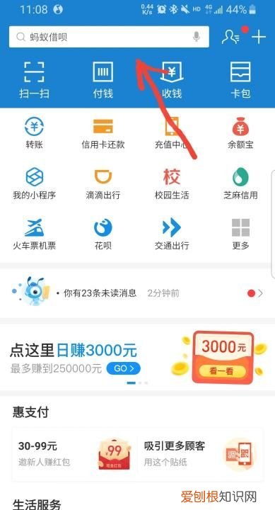 支付宝搜索码在哪里,怎么查看自己支付宝登录密码