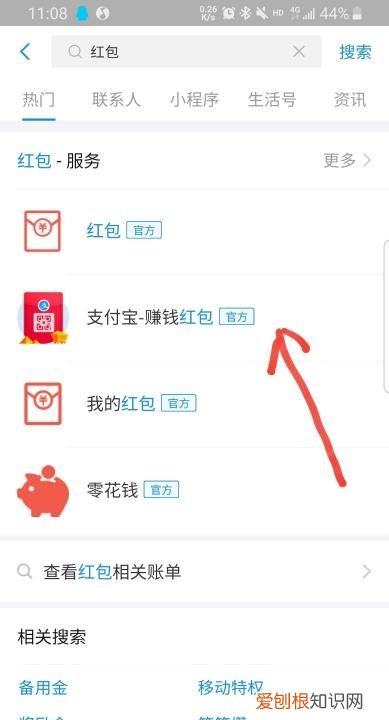 支付宝搜索码在哪里,怎么查看自己支付宝登录密码