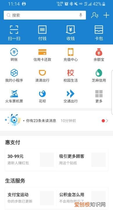 支付宝搜索码在哪里,怎么查看自己支付宝登录密码