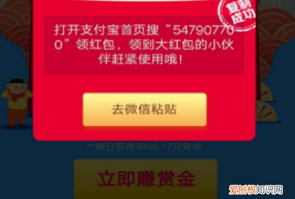 支付宝搜索码在哪里,怎么查看自己支付宝登录密码