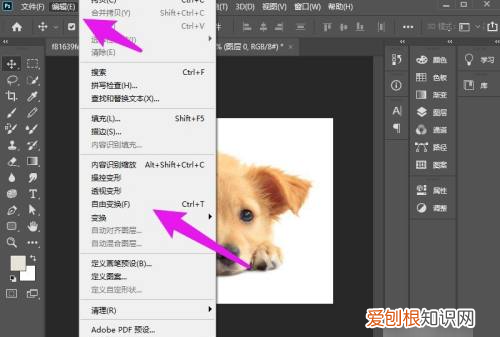 Ps怎么随意拉伸,怎么自由拉伸图片