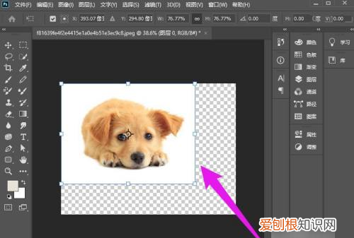 Ps怎么随意拉伸,怎么自由拉伸图片