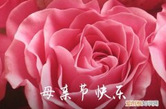 母亲节感恩标语 母亲节主题标语