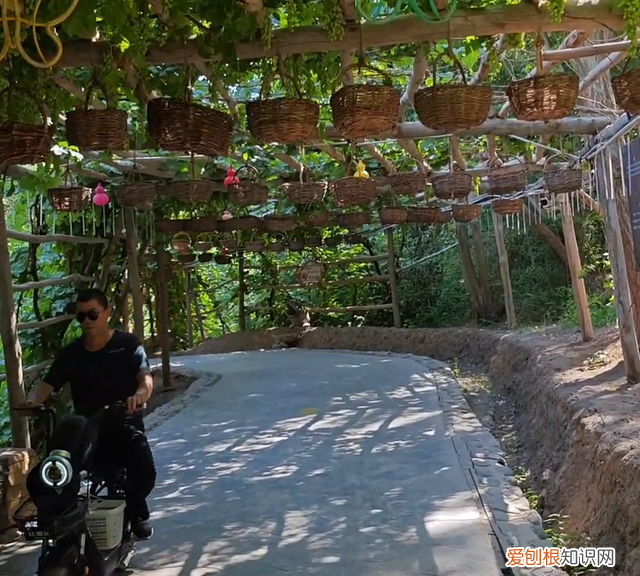 歌曲赐伤男声完整版 歌曲赐伤原唱完整版