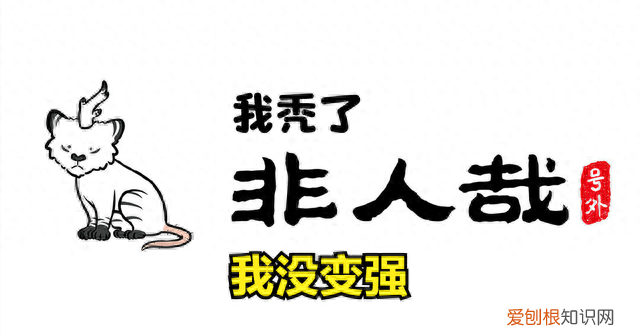 非人哉白泽特刊五周年开箱