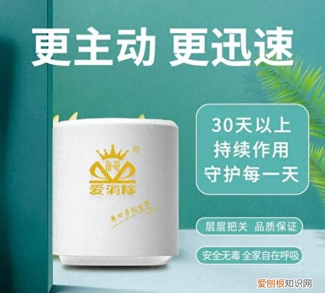 如何去除房间异味,怎样去除房间尿骚异味