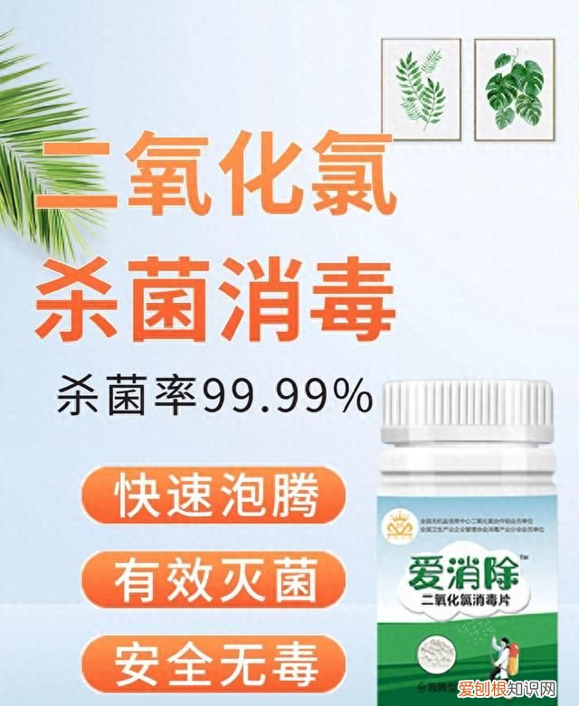 如何去除房间异味,怎样去除房间尿骚异味