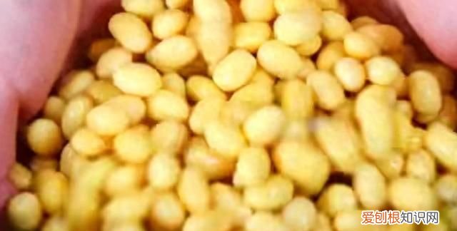 如何在家用最简单的方法制作豆腐