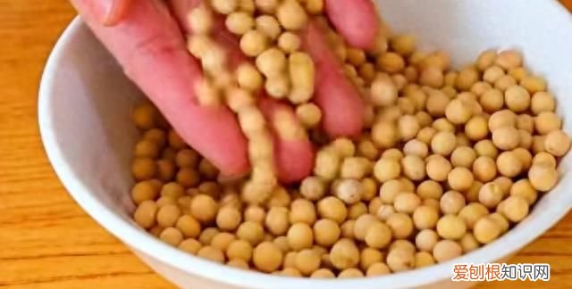 如何在家用最简单的方法制作豆腐