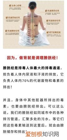 做背的好处及作用，经常做背的好处和作用