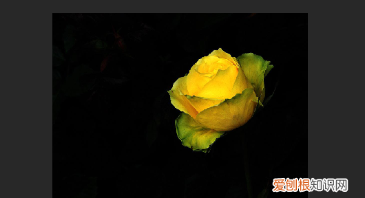 ps怎么改变选定区域的颜色