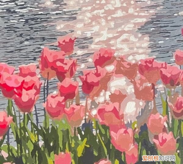 如何DIY一幅涂色书，diy数字油画填色教程郁金香