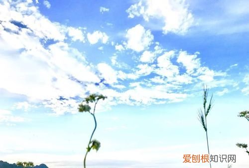 爱就像蓝天白云是什么意思,蓝天白云晴空万里下一句是什么