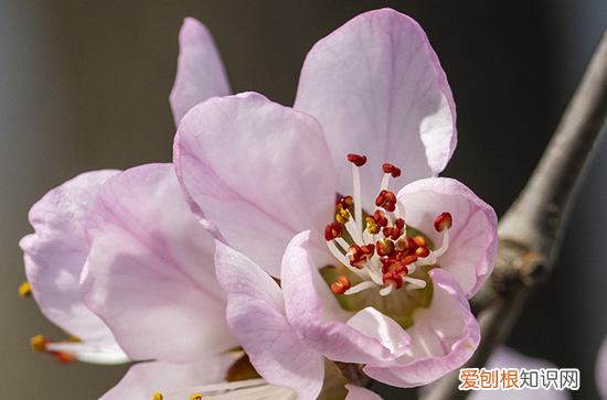 七夕祝福语送朋友圈100句