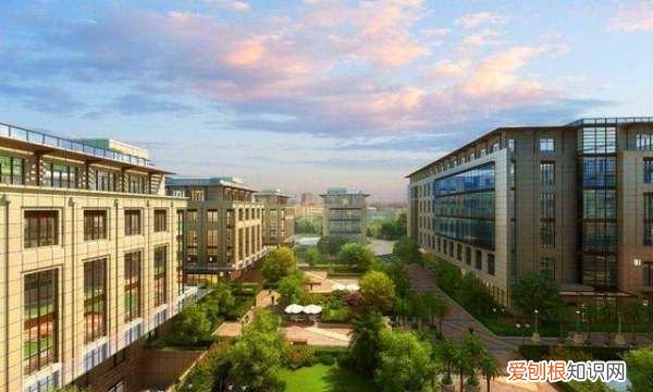 中山将要建设什么大学，中山科技大学选址在哪里
