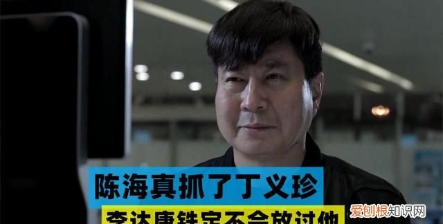 人民的名义陈海抓丁义珍,人民的名义丁义珍抓回来了吗