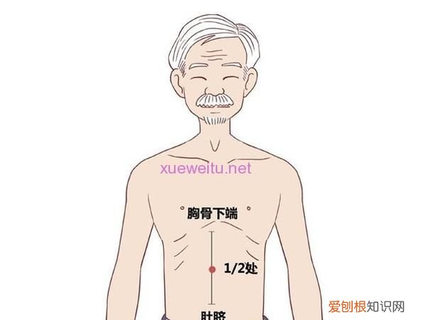 中脘穴的作用，中脘穴位位置图及作用