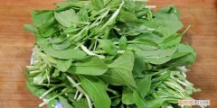 阴虚火旺如何调理，肾阴虚不宜吃什么青菜