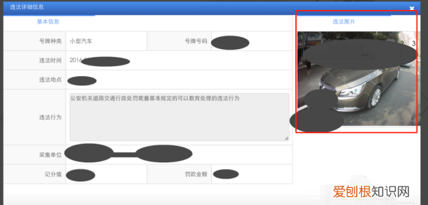 网上如何查车辆违章，网上怎样查询车辆违章记录