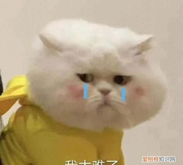 12306高铁候补和抢票抢到的几率大吗 高铁票难抢后期会放票吗