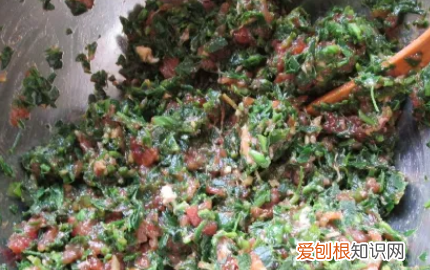 木须野菜能包饺子，苜蓿饺子馅做法大全视频
