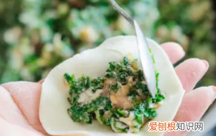木须野菜能包饺子，苜蓿饺子馅做法大全视频