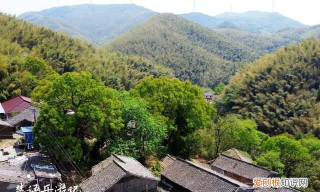 宁波溪口旅游景点推荐 宁波附近一日游古村最佳去处