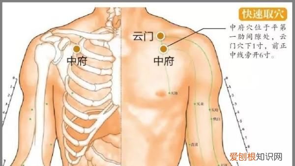 中府穴的准确位置与作用，云门和中府简单找法视频图