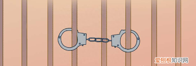 犯什么罪会查浏览记录,浏览记录删除了公安可以查到吗