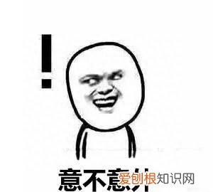 犯什么罪会查浏览记录,浏览记录删除了公安可以查到吗