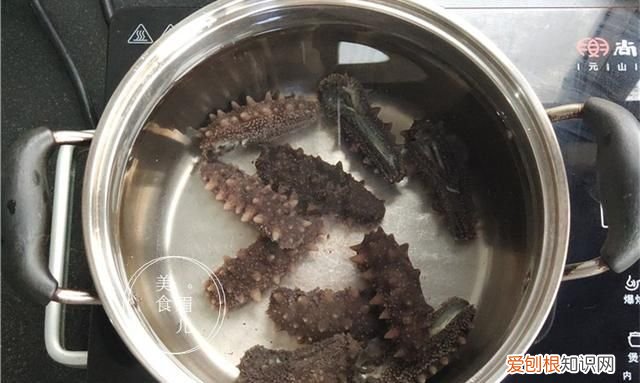 半干海参泡发的正确方法和步骤,半干海参泡发正确方法