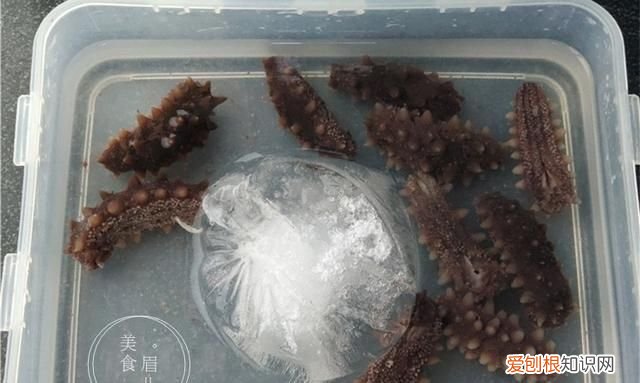 半干海参泡发的正确方法和步骤,半干海参泡发正确方法