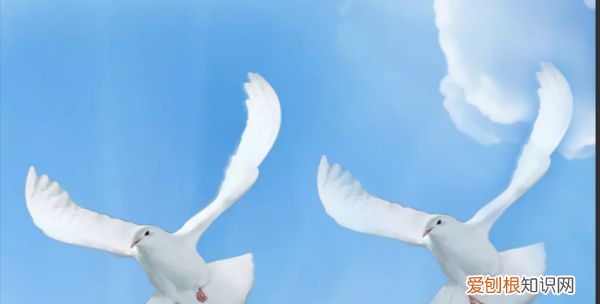 ps该咋才能复制选区，ps选中区域如何复制到另一图层