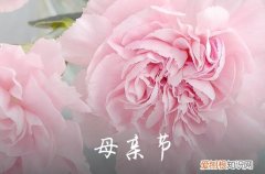 母亲节真挚的祝福句子 母亲节简短祝福语短句