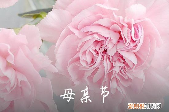 母亲节真挚的祝福句子 母亲节简短祝福语短句