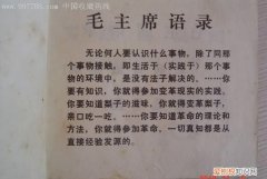 古代名人有关实践出真知的事例，关于实践出真知的现代科学故事