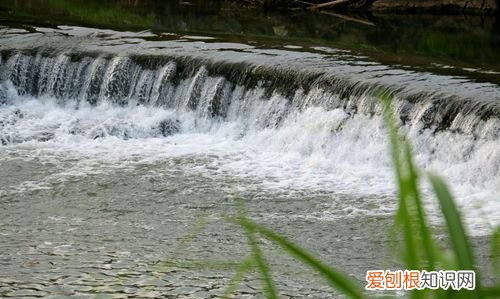 潺潺什么意思，水潺潺什么意思