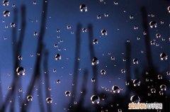 2023年谷雨当天可以扫墓吗 谷雨日是黄道吉日吗