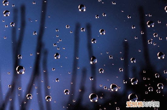 2023年谷雨当天可以扫墓吗 谷雨日是黄道吉日吗