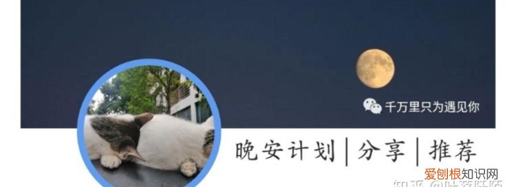 不会再蹉跎什么歌曲，类似蹉跎曲中的男主的小说