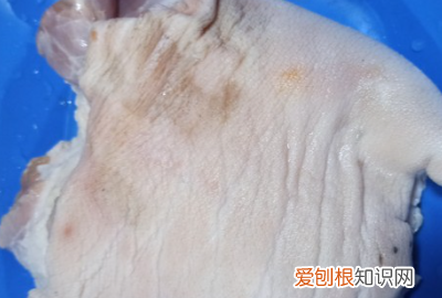 家常卤肘子的做法