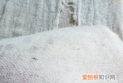 家常卤肘子的做法