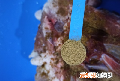 家常卤肘子的做法