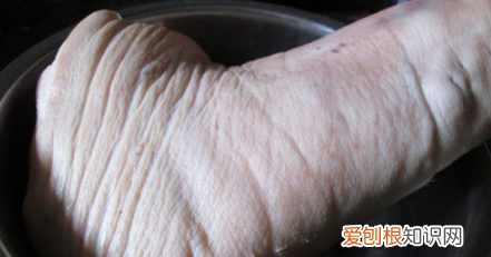 家常卤肘子的做法