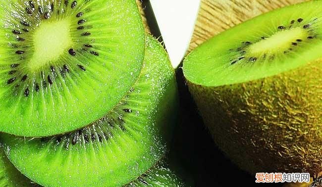 奇异果猕猴桃有什么区别,圣女果和猕猴桃有什么区别