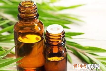 精油的作用