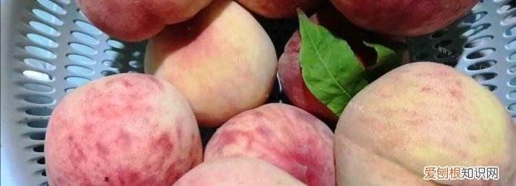 桃子切开后能放多久，桃子冷藏能放多长时间