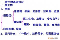 真菌有细胞壁，草履虫、变形虫真菌还是细菌原核还是真核.真菌有细胞壁