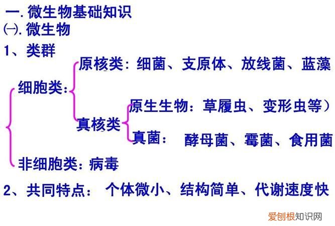 真菌有细胞壁，草履虫、变形虫真菌还是细菌原核还是真核.真菌有细胞壁